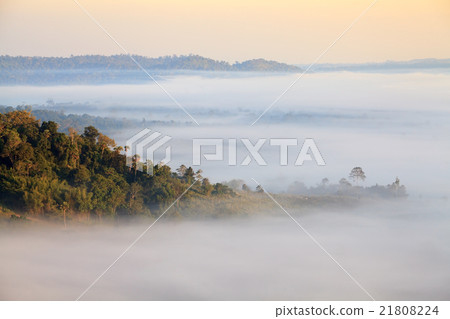 Misty morning sunrise in Khao Takhian Ngo Misty morning sunrise in Khao Takhian Ngo 21808224