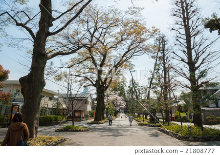 走在東京，Setouya-ku Okuzawa在市政佛附近 21808777
