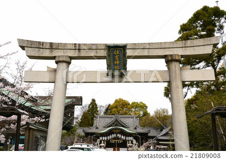Spring entrance shrine Sumiyoshi shrine Spring entrance shrine Sumiyoshi shrine 21809008