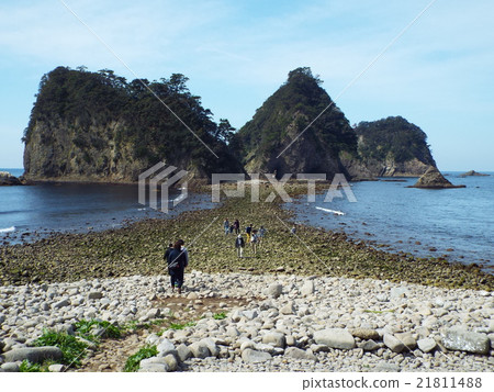 Dragonfly phenomenon in Minamiizu and Dogago Island 21811488