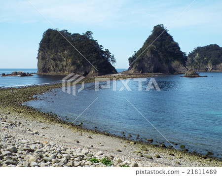 Dragonfly phenomenon in Minamiizu and Dogago Island 21811489