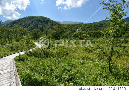 Ichinose gardens 21811523