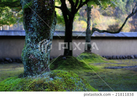 里奇山谷仍然是-2 21811838