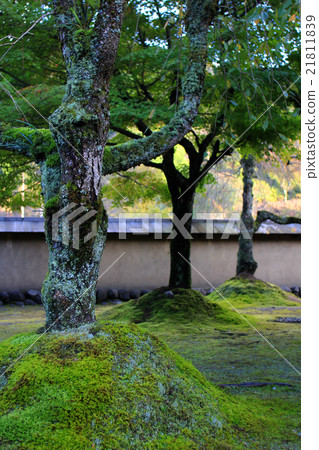 里奇谷遺址-3 里奇谷遺址-3 21811839