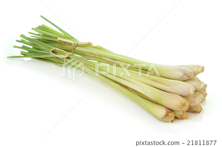 lemongrass isoleted on white background lemongrass isoleted on white background 21811877