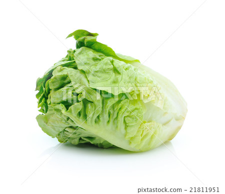 lettuce leaves isolated on white background lettuce leaves isolated on white background 21811951