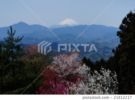 Mt. Takao Hanasaki 21812217