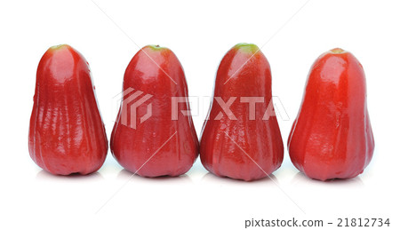 roseapple isolated on white background roseapple isolated on white background 21812734