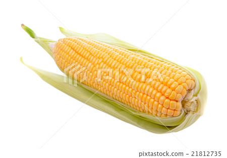 corn isolated on white background corn isolated on white background 21812735