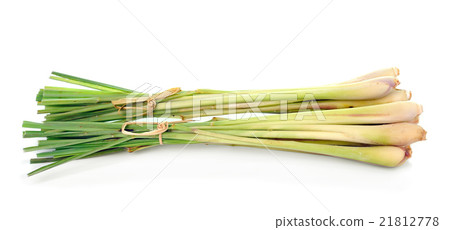 lemongrass isoleted on white background 21812778