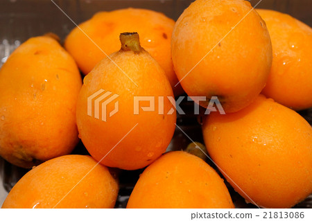 枇杷的果實 21813086