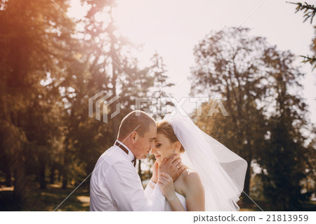 wedding day HD wedding day HD 21813959
