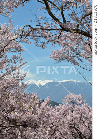 At Takataka castle ruins park At Takataka castle ruins park 21813970