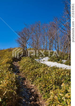 春季登山：Jizo Dake [Akagi]（16） 21814061