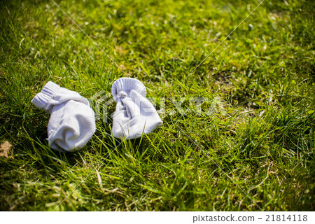 white socks on green grass white socks on green grass 21814118