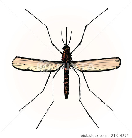 illustration of a mosquito 21814275