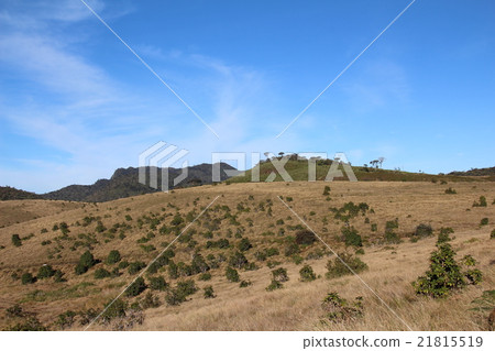 Houghton Plains National Park 21815519