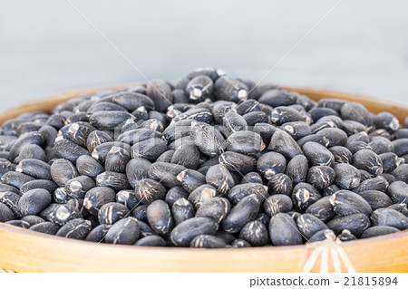Jatropha curcas seeds 21815894