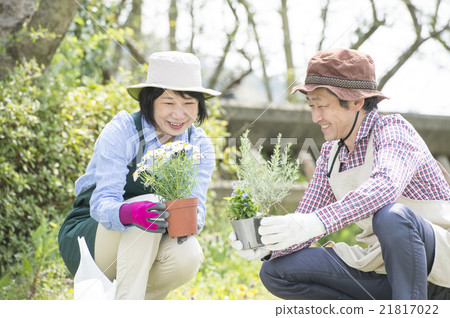 一對50多歲的夫婦享受園藝 一對50多歲的夫婦享受園藝 21817022