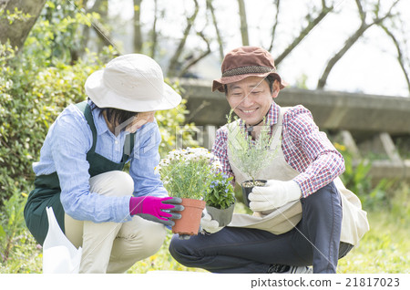 A couple in their 50s enjoying gardening 21817023