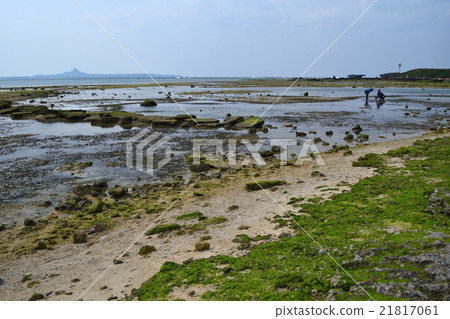 Bisezezaki coastal tide 21817061