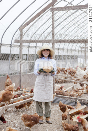 Poultry female Poultry female 21817934