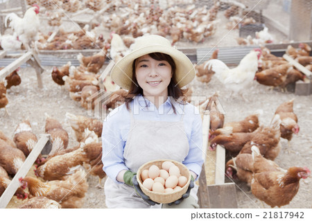 家禽女 家禽女 21817942