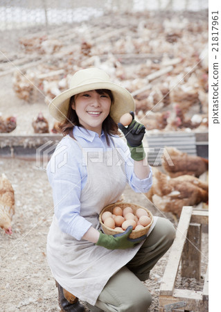 Poultry female 21817961