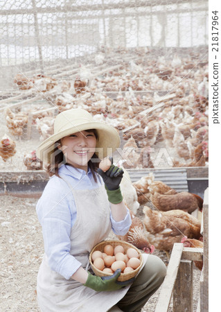 Poultry female Poultry female 21817964