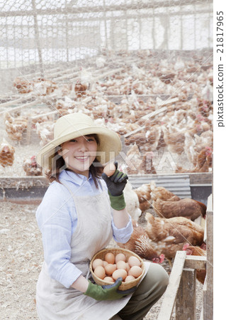 Poultry female Poultry female 21817965