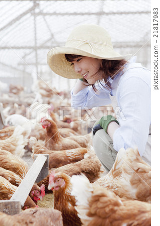 Poultry female Poultry female 21817983
