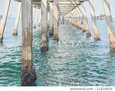 Bridges wharf on sea Bridges wharf on sea 21818059