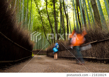 Bamboo Forest in Japan, Arashiyama, Kyoto 21818824