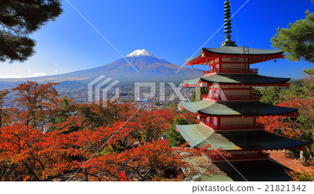 Fuji Niigakura Asama Shrine櫻花樹秋葉和富士山 21821342