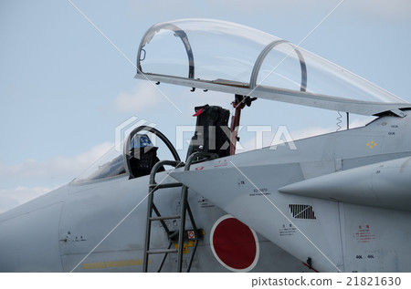 F - 15 J (cockpit) 21821630