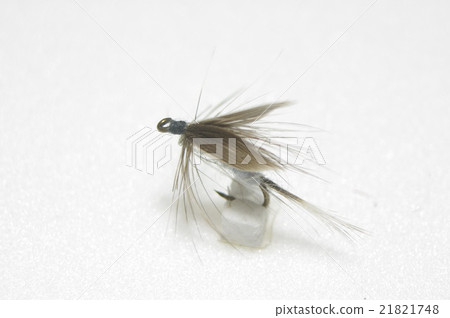 Dry fly with white tail with black wing 21821748