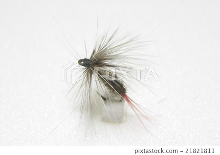 Dried fly of Peacock's body with plaque hackle 21821811