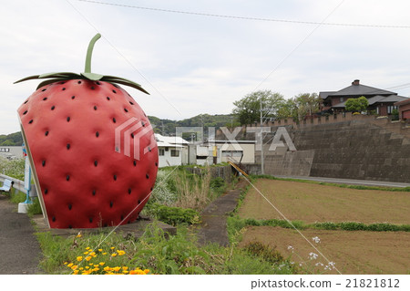 水果巴士站圖片 水果巴士站圖片 21821812