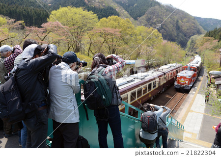 攝影人在Watasage峽谷鐵路遊覽 21822304