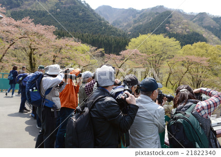 攝影人在Watasage峽谷鐵路遊覽 攝影人在Watasage峽谷鐵路遊覽 21822340