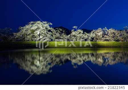 Gosho cherry tree Gifu prefecture Hida city Furukawa cho Sugisaki Gosho cherry tree Gifu prefecture Hida city Furukawa cho Sugisaki 21822345