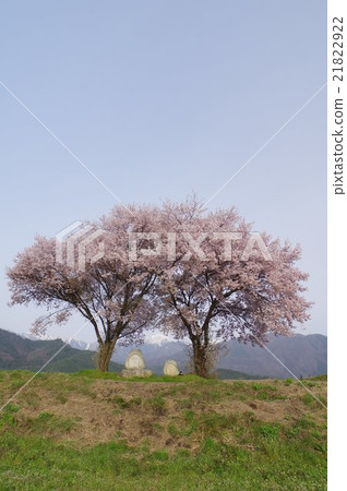 Shinshu Azumino旅遊景點位置神話女神北Arups由Koten Dake支持的受歡迎的Azumino射擊點之一 21822922