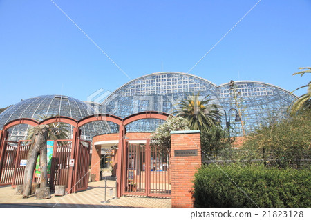 Yume no Island熱帶植物園 Yume no Island熱帶植物園 21823128