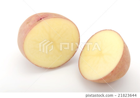 紅土豆 21823644