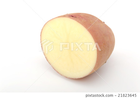 紅土豆 紅土豆 21823645