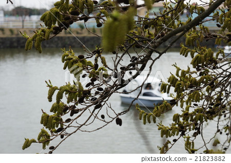 大林渦輪增壓器布西 21823882