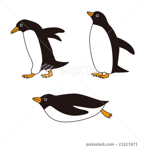 Penguins of various poses 21823971