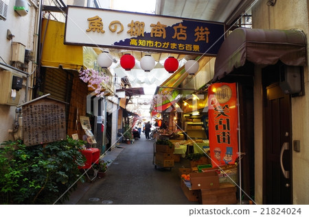 Kochi Fish Shelf Shopping Street 21824024