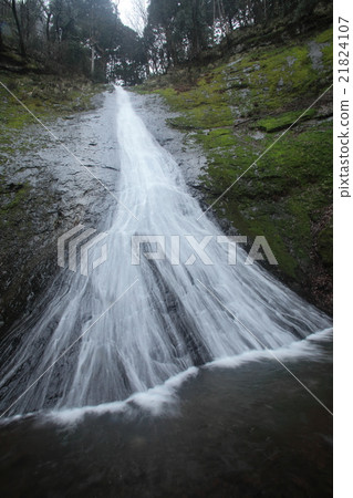 Yanagi瀑布布料秋天 Yanagi瀑布布料秋天 21824107