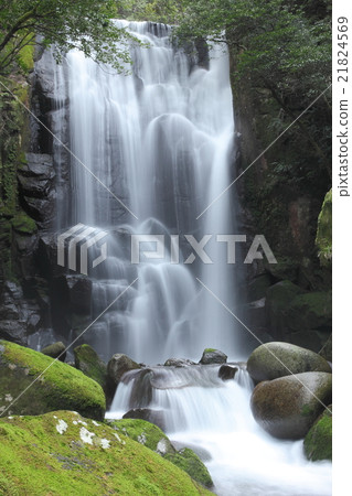 Kuwano樹瀑布 Kuwano樹瀑布 21824569